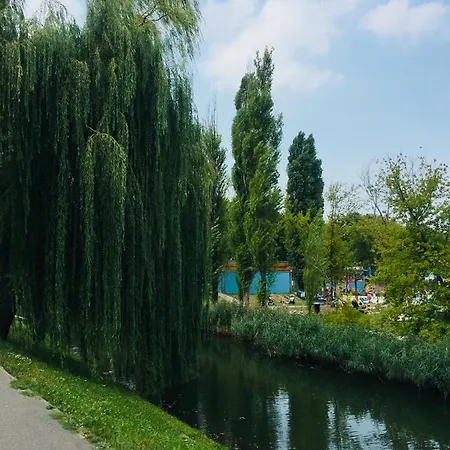 Апартаменты Black Swan Place *