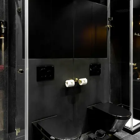 Апартаменты Black Swan Place Варшава