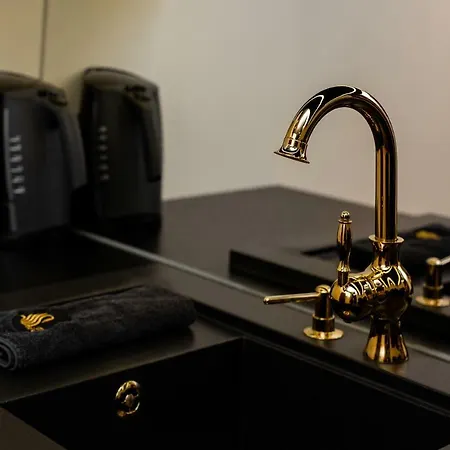 Black Swan Place Appartement