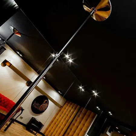 Black Swan Place Appartement *